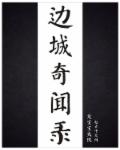 小说：边城奇闻录，作者：龙宝宝大侠