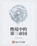 小说：绝境中的第三帝国，作者：清扬飞鱼