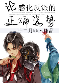 小说：论感化反派的正确姿势，作者：十二月kk