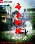 小说：布衣卿相，作者：心如朗月
