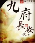 小说：九府长安，作者：方攵