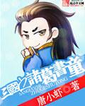 小说：三国之诸葛书童，作者：唐小虾
