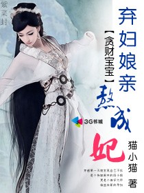 小说：贪财宝宝：弃妇娘亲熬成妃，作者：猫小猫