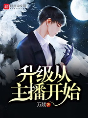 小说：升级从主播开始，作者：万燚