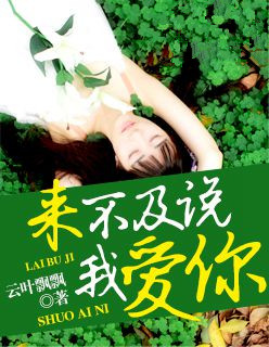 小说：来不及说我爱你，作者：云叶飘飘