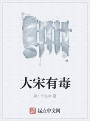 小说：大宋有毒，作者：第十个名字