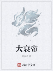 小说：大衰帝，作者：管家希