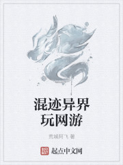 小说：混迹异界玩网游，作者：荒城阿飞