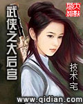 小说：武侠之大后宫，作者：技术宅