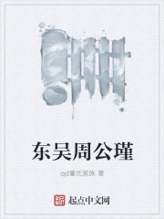 小说：东吴周公瑾，作者：qd童氏家族