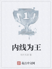 小说：内线为王，作者：枯叶无涯