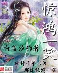 小说：惊鸿一笑，作者：白蓝汐