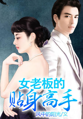 小说：女老板的贴身高手，作者：风中的阳光