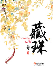 小说：藏珠，作者：云芨