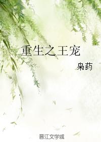 小说：重生之王宠，作者：枭药