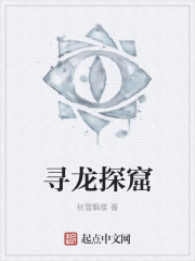 小说：寻龙探窟，作者：秋雪飘楼