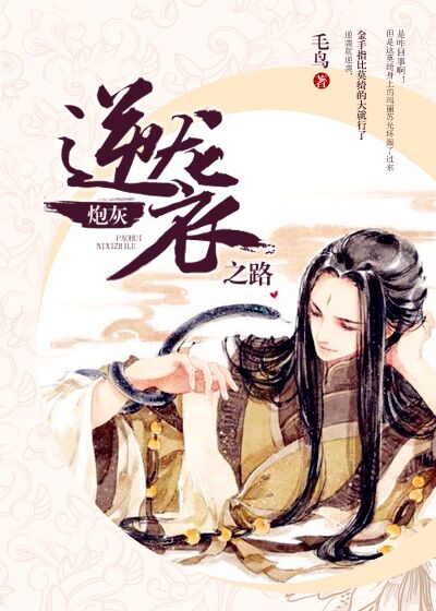 小说：炮灰逆袭之路，作者：毛鸟