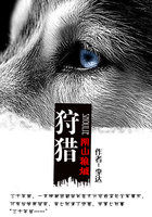 小说：狩猎：阴山狼城，作者：李达