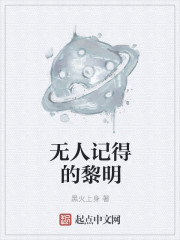 小说：无人记得的黎明，作者：黑火上身