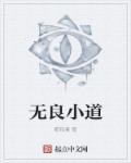 小说：无良小道，作者：都较瘦