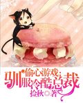 小说：偷心游戏：驯服冷酷总裁，作者：捡秋