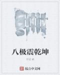 小说：八极震乾坤，作者：齐砚