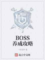 小说：BOSS养成攻略，作者：一枕孤梦