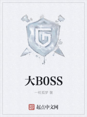 小说：大B0SS，作者：一枕孤梦