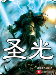 小说：圣光，作者：通吃道人.QD