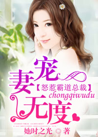 小说：宠妻无度：怒惹霸道总裁，作者：她时之光