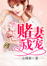 小说：赌妻成宠，作者：点绛唇