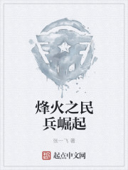 小说：烽火之民兵崛起，作者：张一飞
