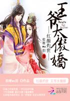 小说：红颜灼世：王爷太傲娇，作者：桔梗wu泪