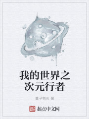 小说：我的世界之次元行者，作者：量子物灭