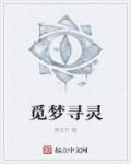 小说：觅梦寻灵，作者：登五行