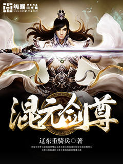 小说：混元剑尊，作者：辽东重骑兵
