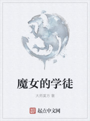 小说：魔女的学徒，作者：大师莫方