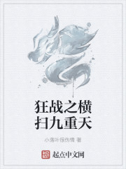 小说：狂战之横扫九重天，作者：小落叶很伤情