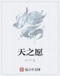 小说：天之愿，作者：祈千年