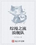 小说：综漫之流浪舰队，作者：李平舰长