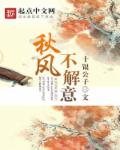 小说：秋风不解意，作者：十银公子