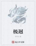 小说：极桀，作者：苏冬泊