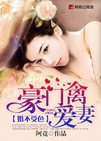 小说：婚不受色：豪门禽爱妻，作者：阿竟