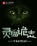 小说：灵猫诡志，作者：玉有玦