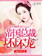 小说：闪婚娇妻：帝国总裁，坏坏宠，作者：陆刀刀