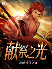 小说：献祭之光，作者：心驰神往之