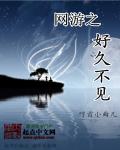 小说：网游之神级巅峰，作者：哼首小曲儿
