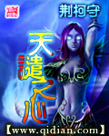 小说：天谴之心，作者：荆柯守