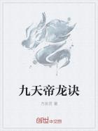 小说：九天帝龙诀，作者：万剑灵