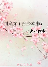 小说：到底穿了多少本书？，作者：谢池春慢